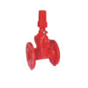 Gate Valve Tpmcsteel