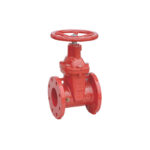 Gate Valve Tpmcsteel