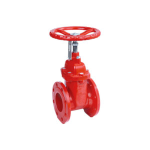 British Flanged NRS Gate Valve - TPMCSTEEL