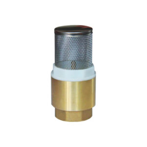 Brass foot valve with strainer