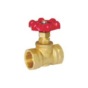 Brass globe valve