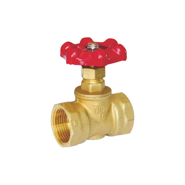 Straight type brass globe valve TPMCSTEEL