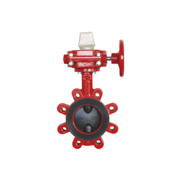 V15-1 British Lug butterfly valve (Gear actuator & tamper switch)