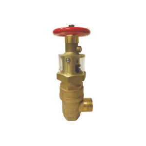 Field adjustable pressure reducing valve (WP300)
