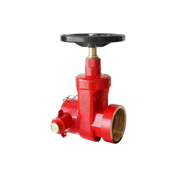 FE15-1 Dry landing valve