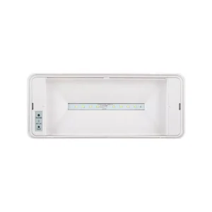 Intelligent waterproof maintained recessed emergency light